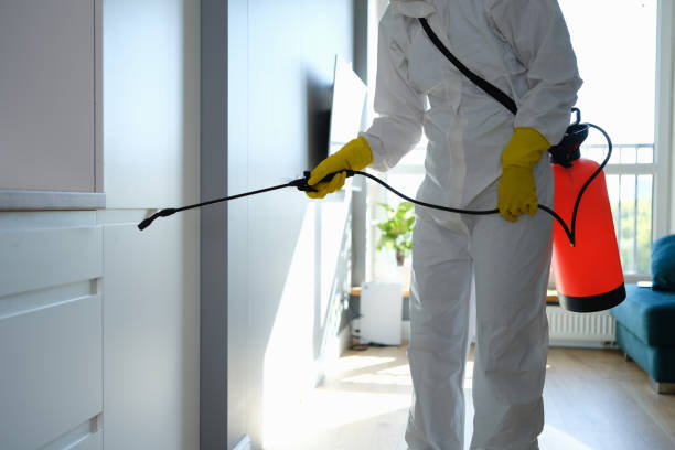 Best Mold Cleaning Services  in Pine Level, NC